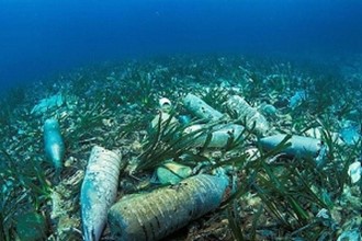 Microrganismi ghiotti di plastica